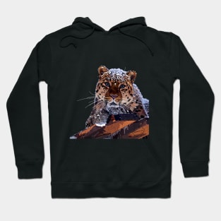 Far Eastern leopard Hoodie